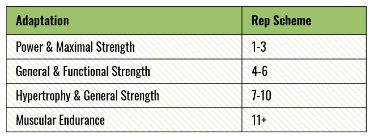 Set and Rep Chart
